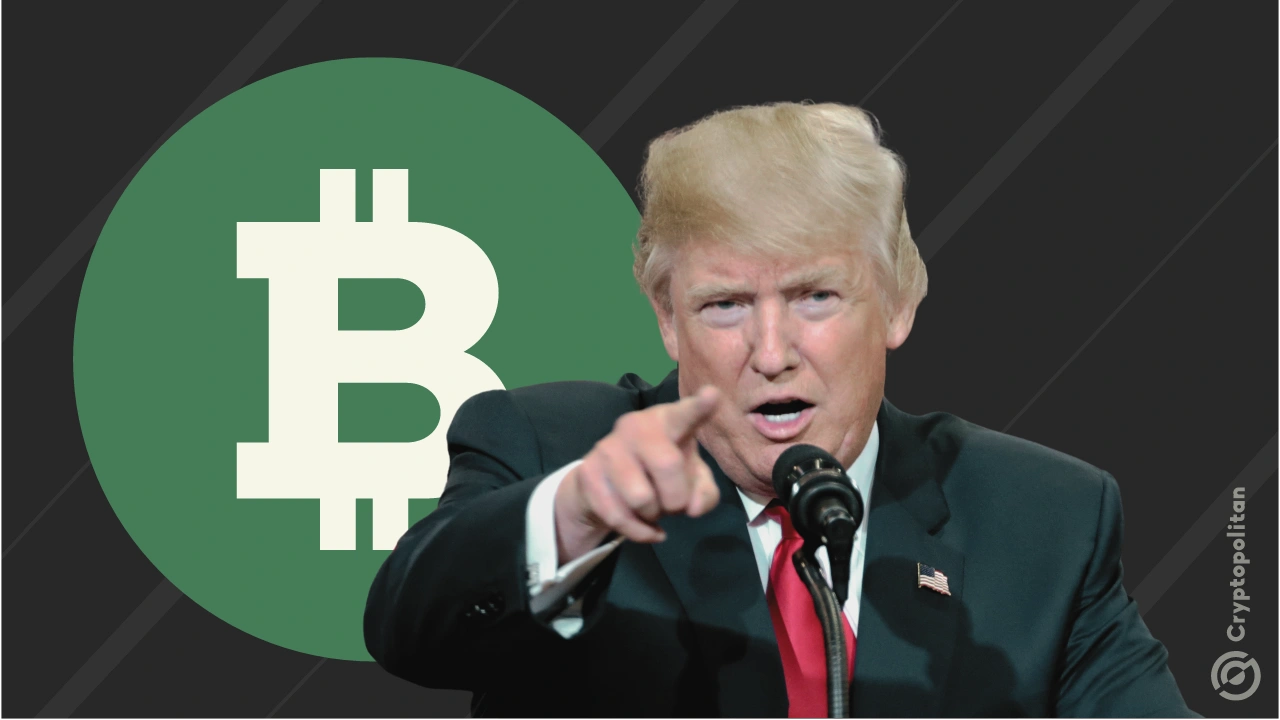 特朗普对比特币的判决：意味着什么？