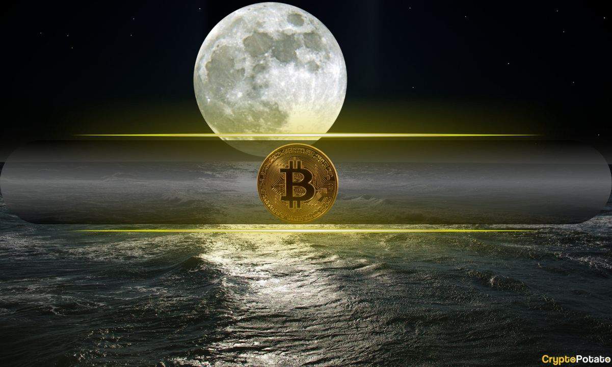 Analyst Says Bitcoin Reclaims .2K, Price Discovery Just Beginning