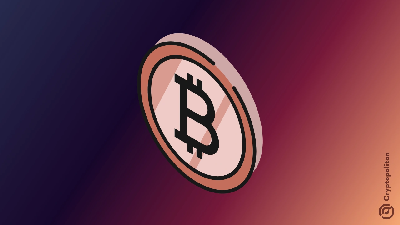 比特币巨鲸转移 86 亿美元的 BTC:地址升级而非出售。