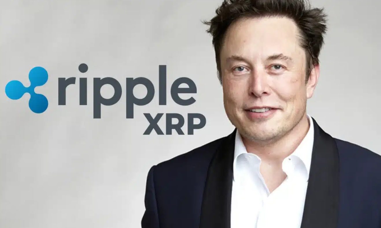 XRP 价格预测：马斯克的人工智能称将突破 15 美元