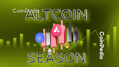 随着比特币达到新高，山寨币可能会看到强劲表现